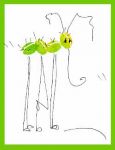 Coffee Bean Bug Card